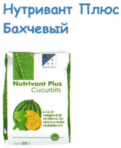 Abi-Джер Nutrivant плюс пъпеши