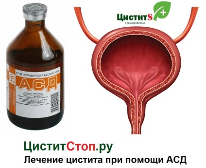 Asd a cystitis a nők