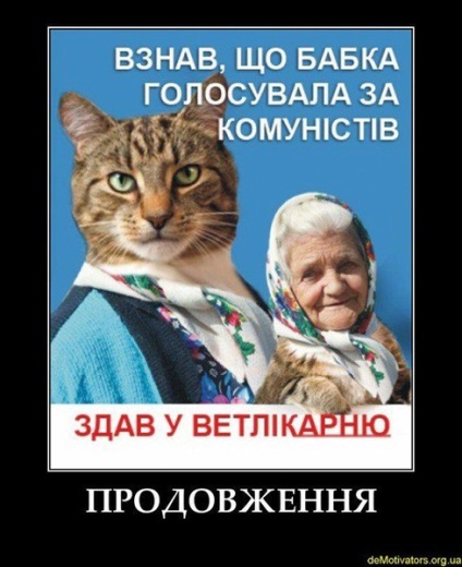 Bunica Cat 