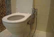 Bideu-atașament pentru toaletă cu mixer, scânduri foto, duș igienic