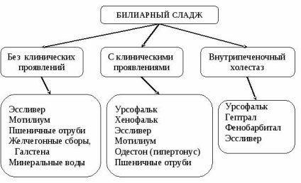 Simptomele și cauzele patologiei nămolului biliar