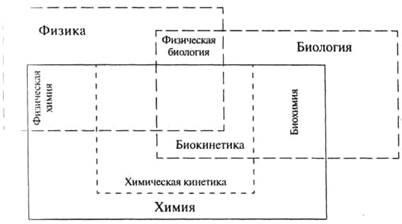 Biokinetica, mișcarea celulară - cinetica celulară