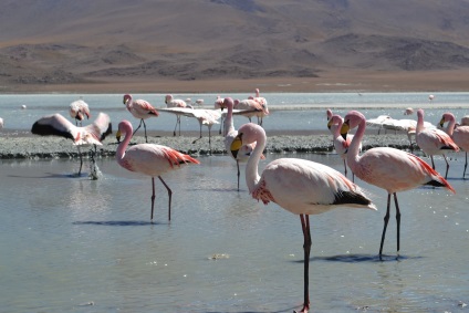 Bolivia este locul în care cerul se îmbină cu pământul