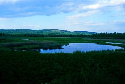 Chelyabinsk hatóság