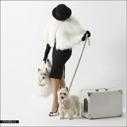 O valiză pentru o doamnă elegantă ... cu un câine