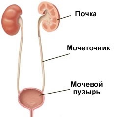 Cystografie, urologul meu