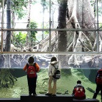 Cosmocaixa - a barcelonai tudományos múzeum