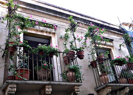 Flori pe balcon, flori în creștere pe balcon, decorarea balconului, cum să decoreze, ce flori