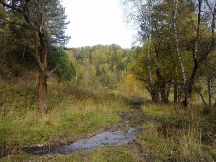 Satele munților Altai - descriere, fotografie