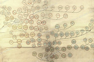 Tree of Life unde să începeți compilarea genealogiei