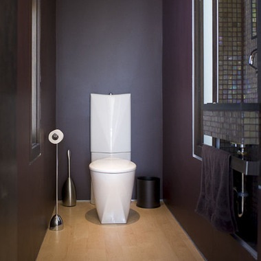 Bile de toaletă ieftine și scumpe care este diferența, despre instalator