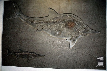 Dinozaur ichthyosaurus