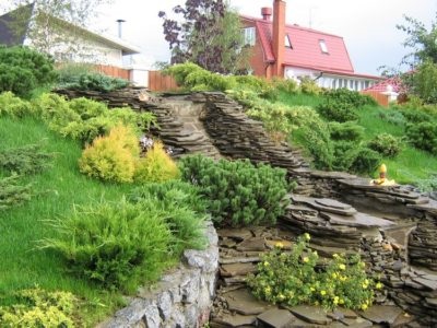 Geranium grădină perene (magnific, Himalaya) plantare și îngrijire în grădină, în țară