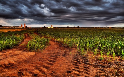 Hdr - fotografie, ceainic cu fotografie