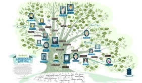 Idei de integrare a copacului genealogic în interior