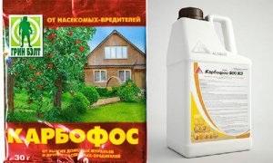 Insecticide și acaricide - preparate pentru combaterea dăunătorilor și a bolilor plantelor - sekhozportal