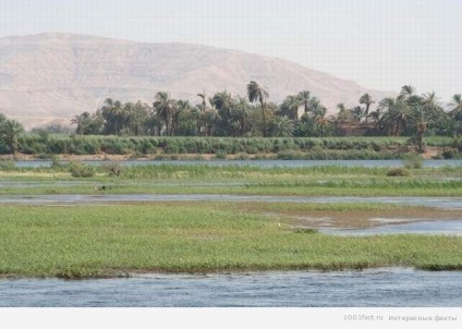 Informații interesante despre râul Nil