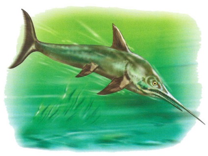 Ichthyosaurus, poze