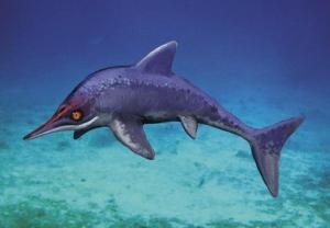 Ichthyosaurus scurtă descriere, fotografie