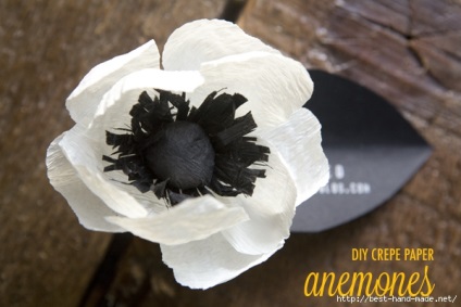 Anemone elegante de hârtie creponică din blogul Amanda