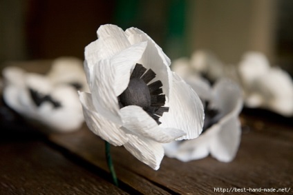 Anemone elegante de hârtie creponică din blogul Amanda