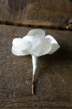 Anemone elegante de hârtie creponică din blogul Amanda