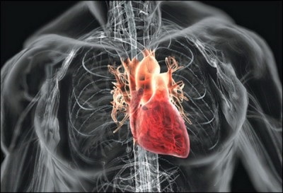 Ce semne de boală cardiacă indică cel mai adesea probleme cu inima