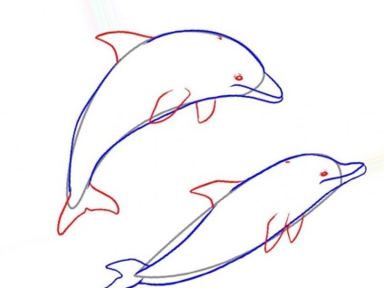 Cum să desenezi un delfin, 