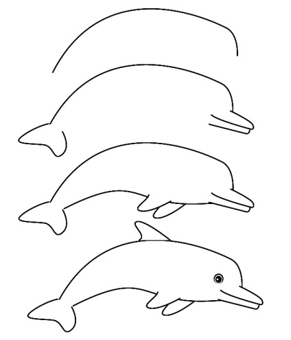 Cum să desenezi un delfin, 