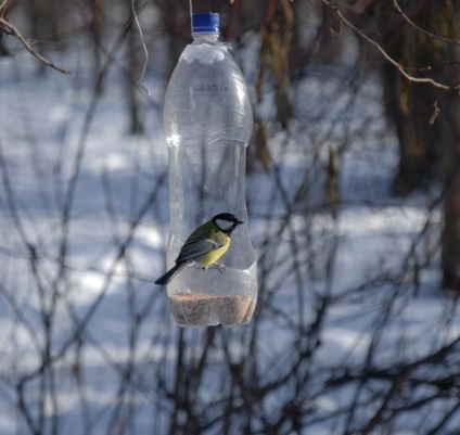 Cum să faci un jgheab pentru țâțe - să faci un alimentator de păsări - echipament și accesorii