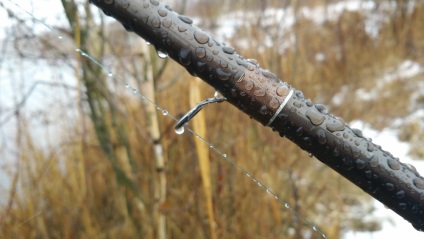 Ahogy keresem a pontyot, de megtaláltam a hálót, a halzsírt