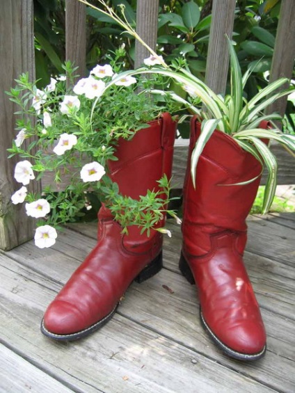 Vase de flori pentru flori de la pantofi vechi!