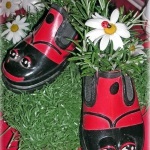 Virágcserép a csomagtartóban 46 eredeti tartály a régi cipőkhöz