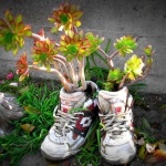 Floare de flori în portbagaj 46 de containere originale pentru plante de la pantofi vechi