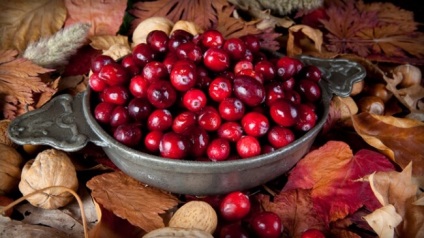 Cranberry cu cistita ca luare, tratamentul cistitei cu afine, smantana de afine, medicamente cu afine din