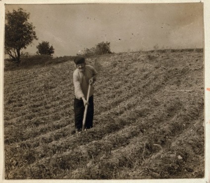 Atunci când țăranii din Rusia au mers pe jos - revoltele de cartofi împotriva plantării cartofilor