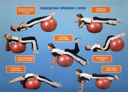 Un set de exerciții pentru întărirea mușchilor spatelui și coloanei vertebrale