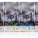 Alimente pentru pisici la prețuri scăzute - avatana omsk