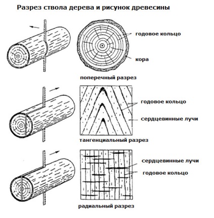Strivire, fisuri și deformări ale lemnului