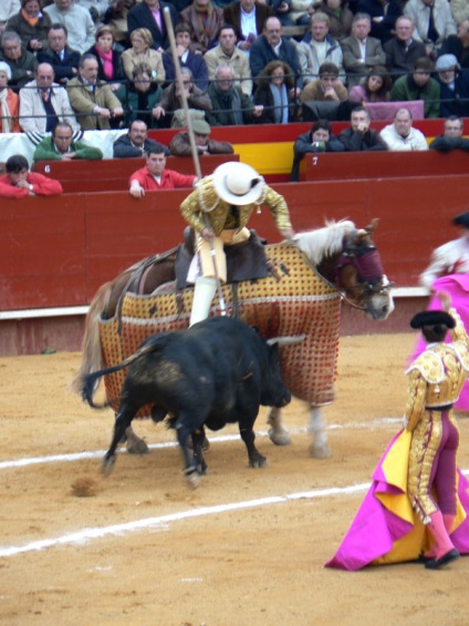 Lupte cu tauri în Spania - foto, Corrida spaniolă prin ochii privitorului