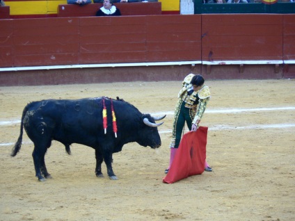 Lupte cu tauri în Spania - foto, Corrida spaniolă prin ochii privitorului