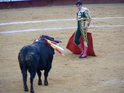 Lupte cu tauri în Spania - foto, Corrida spaniolă prin ochii privitorului