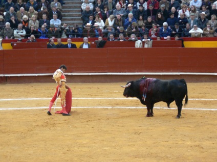 Lupte cu tauri în Spania - foto, Corrida spaniolă prin ochii privitorului