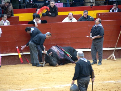 Lupte cu tauri în Spania - foto, Corrida spaniolă prin ochii privitorului
