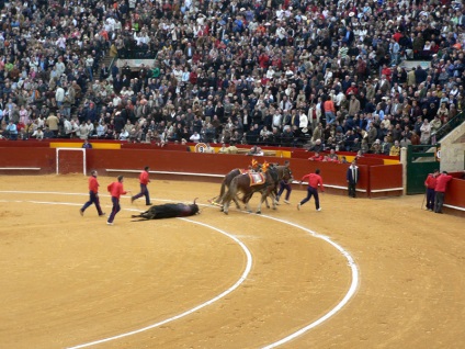 Lupte cu tauri în Spania - foto, Corrida spaniolă prin ochii privitorului