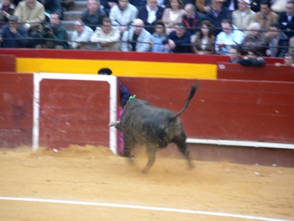 Lupte cu tauri în Spania - foto, Corrida spaniolă prin ochii privitorului