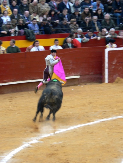 Lupte cu tauri în Spania - foto, Corrida spaniolă prin ochii privitorului