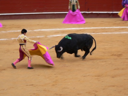 Lupte cu tauri în Spania - foto, Corrida spaniolă prin ochii privitorului