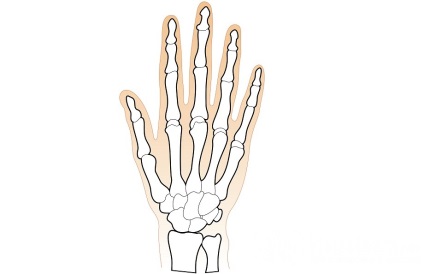 Oasele încheieturii mâinii - fractură, structură, deteriorare