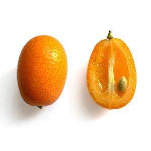 Kumquat - proprietăți utile ale fructelor, fotografiile, conținutul de calorii al fructelor